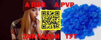 сатива Новозыбков