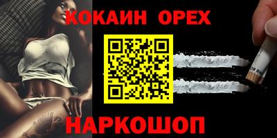 крисы Новодвинск