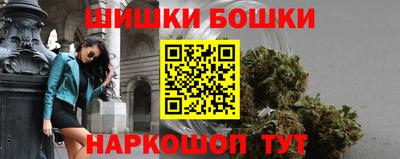 сатива Новозыбков