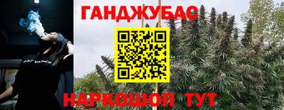 крисы Новодвинск