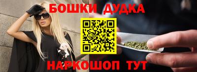 крисы Новодвинск