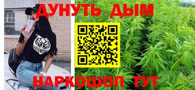 крисы Новодвинск