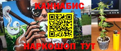 крисы Новодвинск
