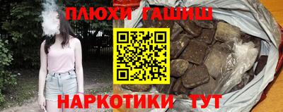 сатива Новозыбков