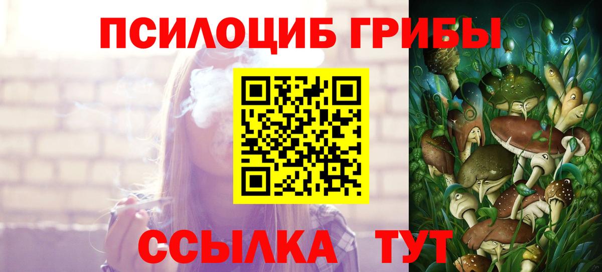 Галлюциногенные грибы Psilocybe  Псилоцибиновые грибы GOLDEN TEACHER  Вход с VPN  Шелехов 